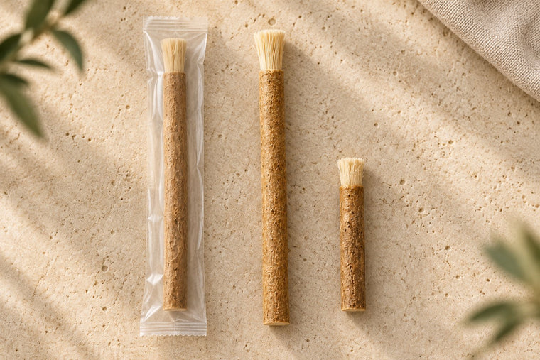 Three miswak sticks side by side: one still sealed, one opened with soft fibers, one trimmed short after three weeks