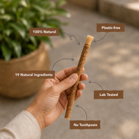 Miswak Brush 2